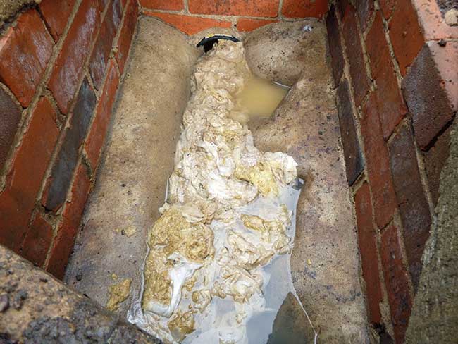Tissues blocking the sewer